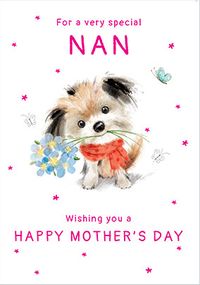 Tap to view Very Special Nan Mother's Day Card