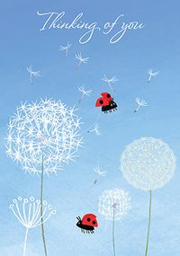 Tap to view Thinking of You Dandelion Card