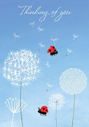 Thinking of You Dandelion Card