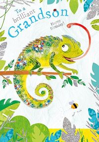 Brilliant Grandson Chameleon Birthday Card