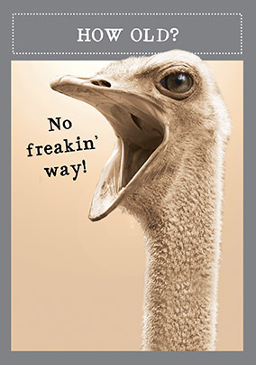 Birthday Card Fun 2 Ostriches Birds From the both of us Can Personalise