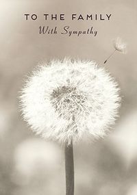 Flower In Sympathy card