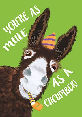 As Mule As A Cucumber Birthday Card