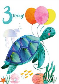 3 Today Turtle Card