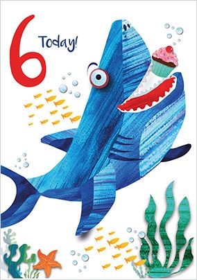 6 Today Shark Card