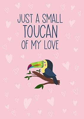 A Toucan Of My Love Valentine Card