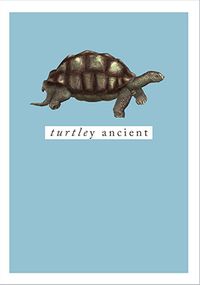 Tap to view Turtley Ancient Birthday Card