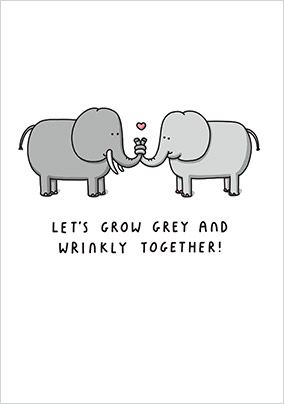 Grow Grey and Wrinkly Together Valentine's Card