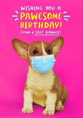 Dog In Mask Pawesome Birthday Card