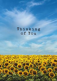 Thinking Of You Sunflowers Card
