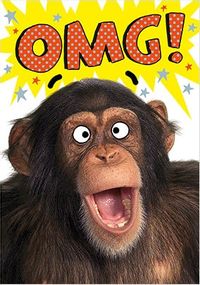 OMG Chimp Birthday Card
