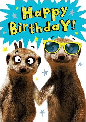 Happy Birthday Meerkat Card | Funky Pigeon