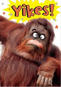 Tap to view Yikes Orangutan Birthday Card