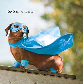 Dad to the Rescue Father's Day Card