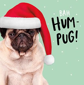 Bah Hum-Pug Christmas Card