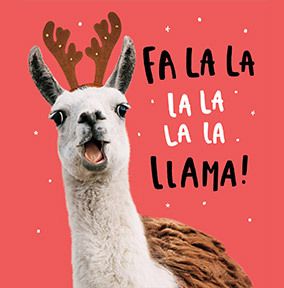 Fa-la-la-la-Llama Christmas Card