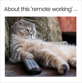 About the Remote Working Welcome Back Card