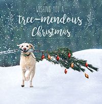 Tap to view Tree-Mendous Christmas Card
