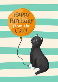 Tap to view From The Cat Balloon Birthday Card