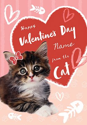 Valentine From The Cat Card