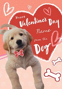 Valentine Card from The Dog