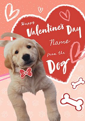 Valentine Card from The Dog