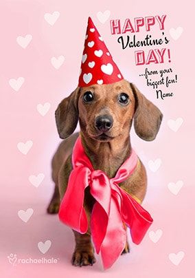 Dachshund Biggest Fan Personalised Valentine's Card